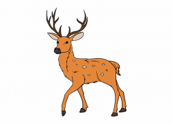 How To Draw A In Few Easy Deer - Clip Art Library