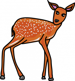 Baby Deer Clipart#4255553 - Shop of Clipart Library