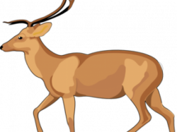 Dear Clipart deer hunting - Free Clipart on Dumielauxepices.net