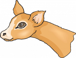 Mammal clipart animal heads - Pencil and in color mammal clipart ...