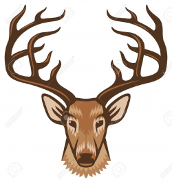 66+ Deer Head Clipart | ClipartLook