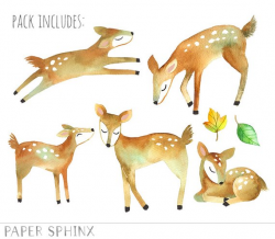 Watercolor Deer Clipart | Mommy and Baby Deer Woodland ...