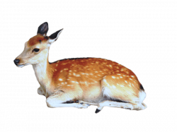 brown deer with white spots lying / sittting png - Free PNG Images ...