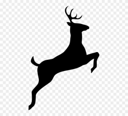 Deer, Silhouette Free Images On - Deer Silhouette Png ...