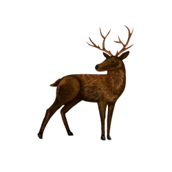 Painted Buck Male Deer Clip Art Digital PNG Download