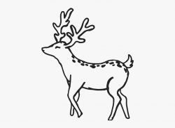 Deer Outline Png #2597341 - Free Cliparts on ClipartWiki