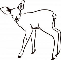 Clipart - fawn outline
