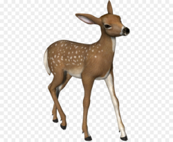 Deer Fawn png download - 450*735 - Free Transparent Deer png ...