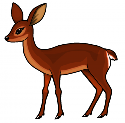Roe deer White-tailed deer Clip art - Doe Cliparts png ...