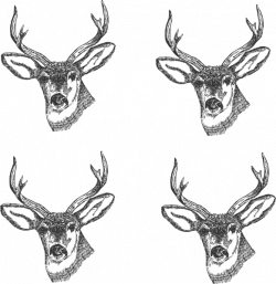 4 Deer Heads Clip Art at Clker.com - vector clip art online, royalty ...