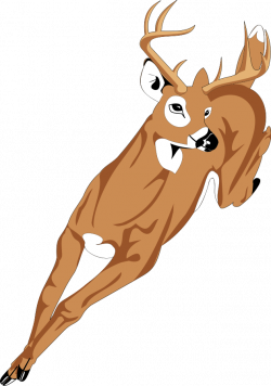 Deer clipart rusa - Pencil and in color deer clipart rusa