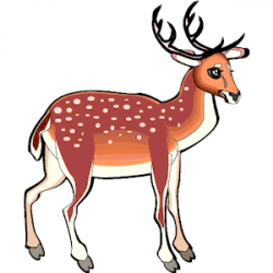 Red Deer Cliparts - Cliparts Zone