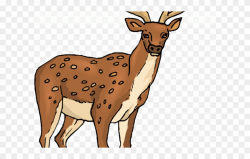 Deer Clipart Spotted Deer - Deer - Png Download (#1329906 ...