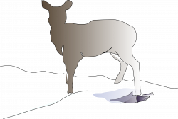 Deer Clipart Icons PNG - Free PNG and Icons Downloads