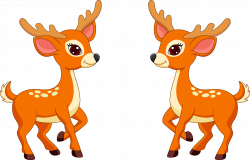 White-tailed deer Clip art - deer 2902*1858 transprent Png Free ...