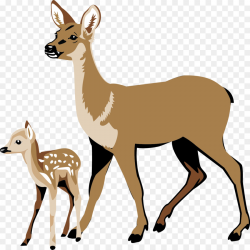 White tail deer clipart 6 » Clipart Station