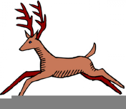 White Tail Deer Clipart | Free Images at Clker.com - vector ...