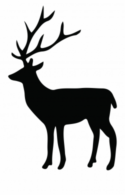 Clipart Freeuse Download Mule Deer Silhouette - Transparent ...