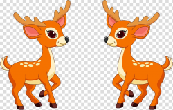 Two deer animated illustration, White-tailed deer , deer ...