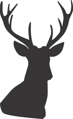 Free Deer Silhouette Group (55+)