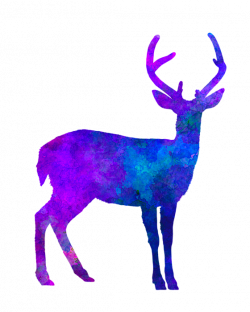 Male Deer 01 In Watercolor T-Shirt for Sale by Pablo Romero