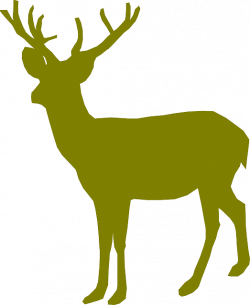 Deer Buck Clipart at GetDrawings.com | Free for personal use Deer ...