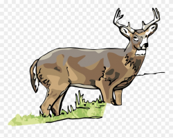 White Tailed Deer Clipart Illinois State - Deer - Png ...