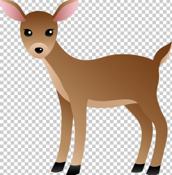 White-tailed Deer PNG, Clipart, Antler, Clip Art, Cuteness ...