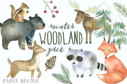 Winter Woodland Animals Clipart | Watercolor Forest Animals ...
