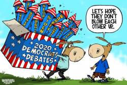 7 brutally funny cartoons about the Democratic debates