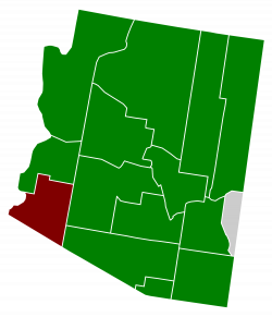 File:Arizona Green Presidential Primary Election Results by County ...
