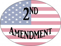 Knight Errant | Second Amendment: Protect or Repeal?
