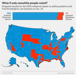 What If Only Men Voted? Only Women? Only Nonwhite Voters ...