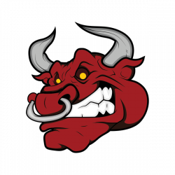 Printed vinyl Angry Bull Head | Stickers Factory