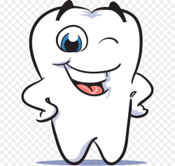 Human tooth Smile Dentistry Clip art - Cute Dental Cliparts png ...