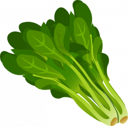 Did you know? Super healthy, leafy greens are rich in calcium, folic ...