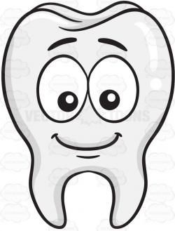 Bashful Tooth Smiling #anatomicalstructure #bashful ...