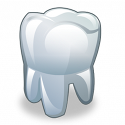 Human tooth Dentistry Icon - White teeth 1181*1181 transprent Png ...