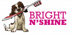 Bright N Shine | Mobile, Non Anesthetic Dog Teeth Cleaning