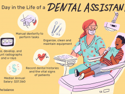 Dental Assistant Job Description: Salary, Skills, & More