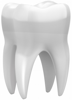 3D Tooth PNG Clip Art - Best WEB Clipart