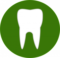 Can My Cracked or Chipped Tooth Wait? - Your Dental Health Resource