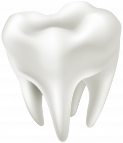 3D White Tooth PNG Clip Art - Best WEB Clipart