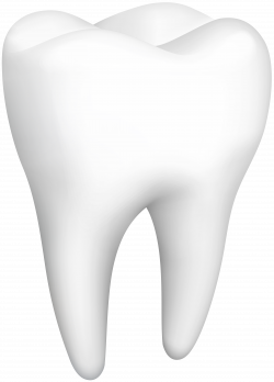 Tooth PNG Clip Art - Best WEB Clipart
