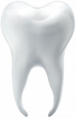 Molar Tooth PNG Clip Art - Best WEB Clipart
