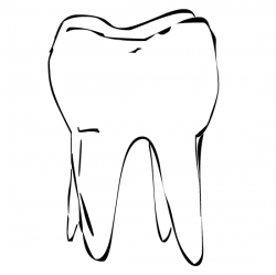 Molar tooth clipart - Cliparting.com