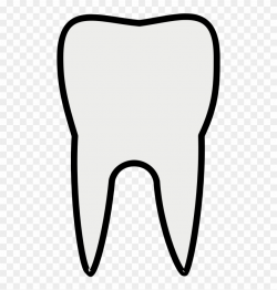 Teeth Plain - Premolar Teeth Clipart, HD Png Download ...