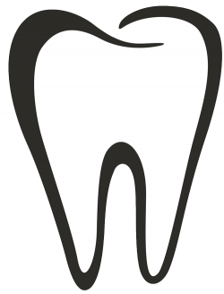 Toothbrush Dentistry Clip art - Tooth 500*657 transprent Png Free ...