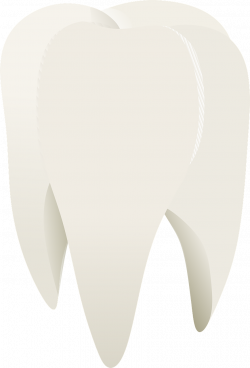 Why Do I Have a Loose Permanent Tooth as an Adult?