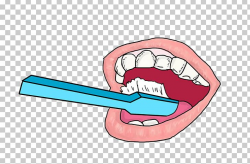 Human Tooth Tooth Brushing Oral Hygiene Dentistry PNG ...